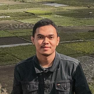 Ari photo